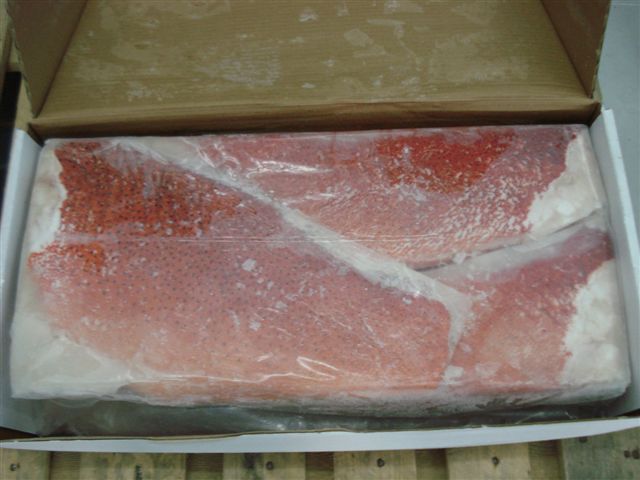 Frozen Red Grouper Fillet Skin on