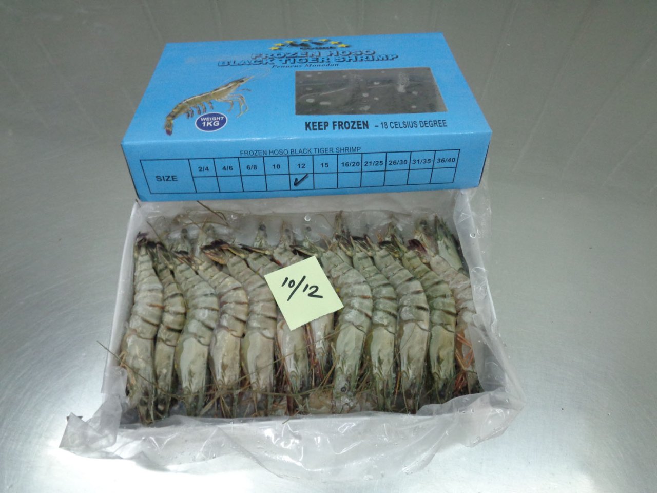 12頭有頭虎蝦