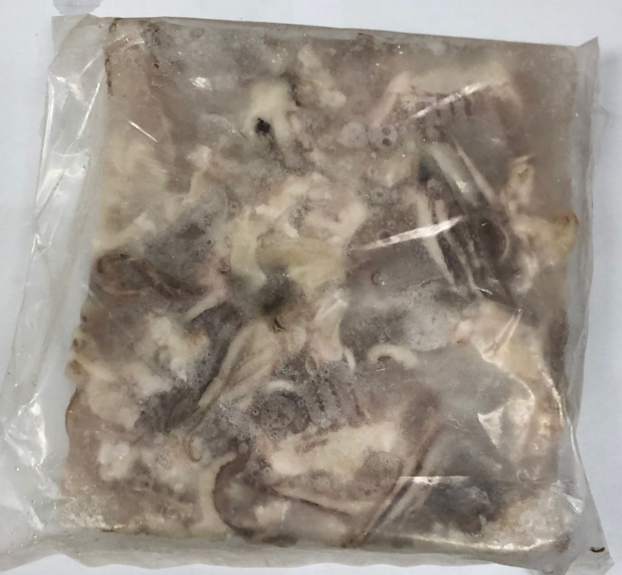 迷你魷魚頭