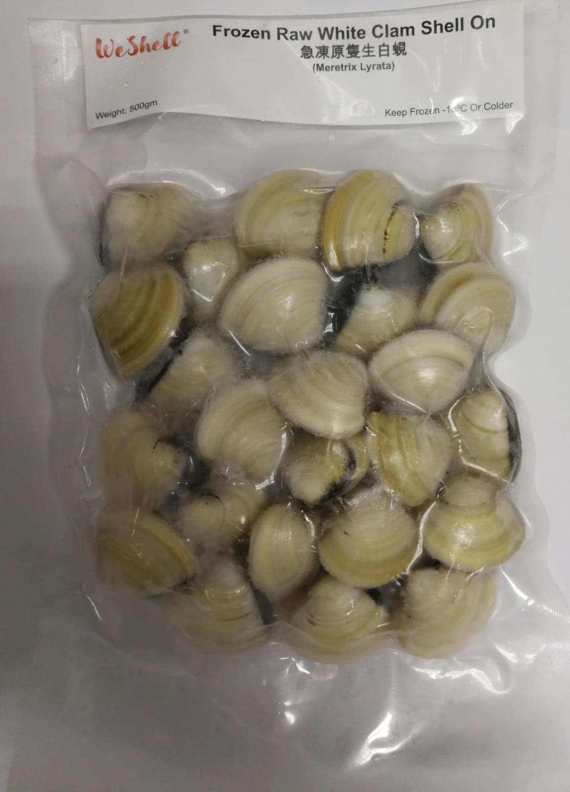 Shell On White Clam